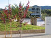 The Bay Hotel & Suites 